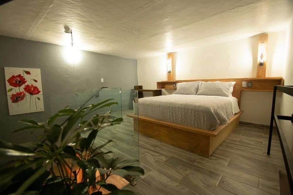 El Jardin De La Abuela Hotel Querétaro Kültér fotó