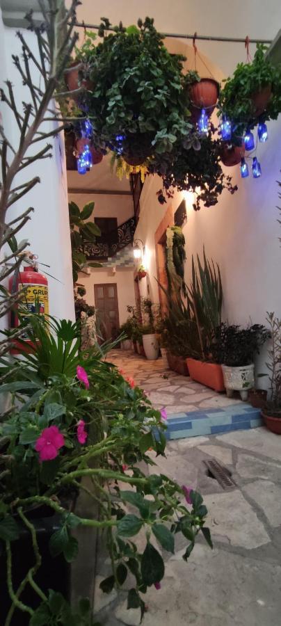 El Jardin De La Abuela Hotel Querétaro Kültér fotó