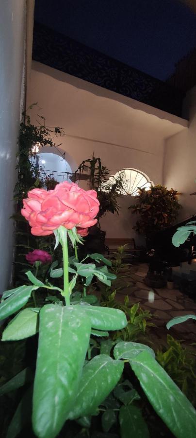 El Jardin De La Abuela Hotel Querétaro Kültér fotó